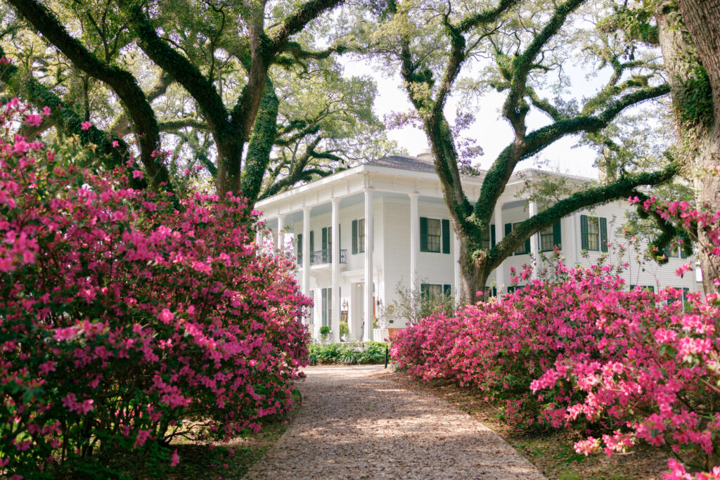 Bragg-Mitchell Mansion