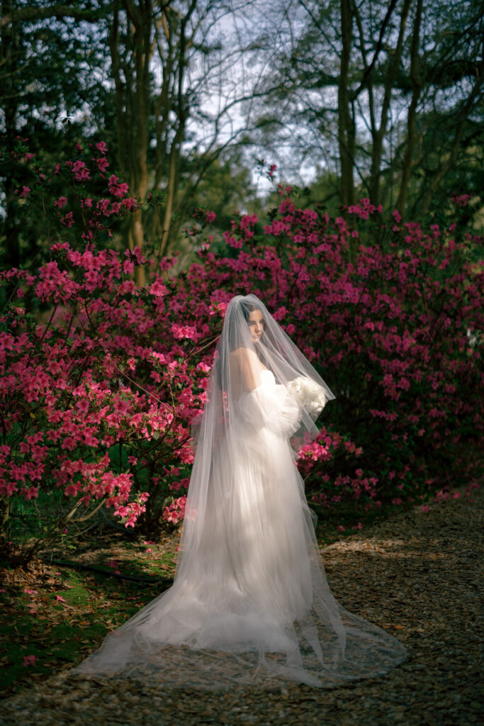 Bridal Portrait